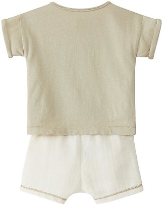 Snug T-Shirt + Shorts Kit - Kaki - 100% Cotton Sets And Co-Ords