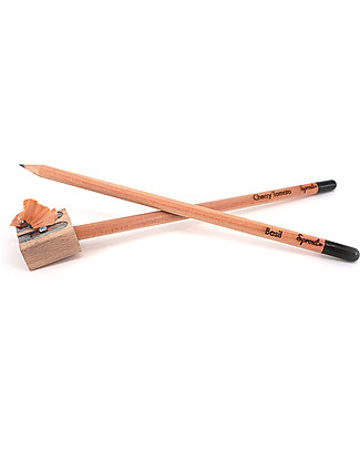 Sprout Plantable Pencil 100% Sustainable - Basil Draw And Color