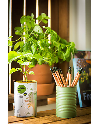 Sprout Plantable Pencil 100% Sustainable - Basil Draw And Color