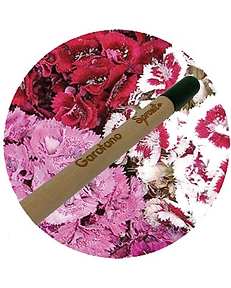Sprout Plantable Pencil 100% Sustainable - Carnation Colouring Activities