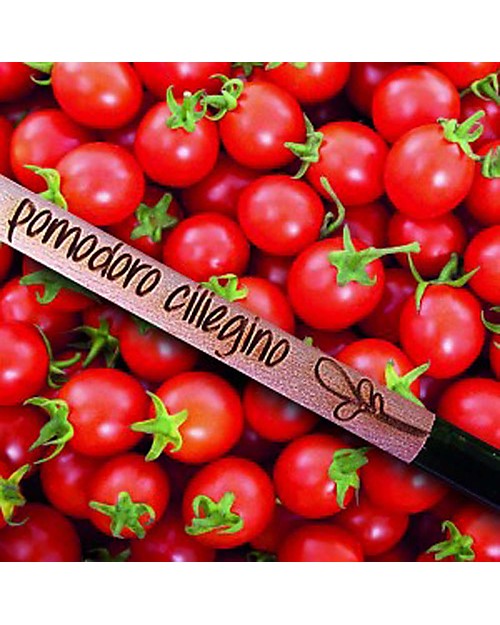 Sprout Plantable Pencil 100% Sustainable - Cherry Tomato Gardening Toys