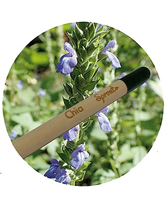Sprout Plantable Pencil 100% Sustainable - Chia Gardening Toys