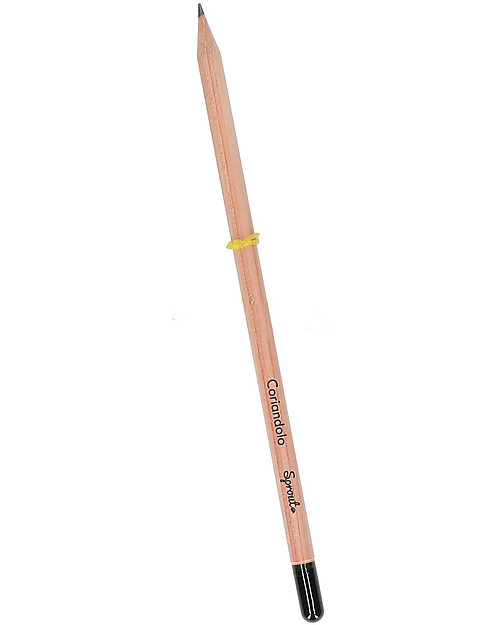 Sprout Plantable Pencil 100% Sustainable - Coriander - Without box Gardening Toys