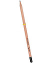Sprout Plantable Pencil 100% Sustainable - Coriander - Without box Gardening Toys