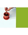 Sprout Plantable Pencil 100% Sustainable - Coriander - Without box Gardening Toys