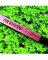 Sprout Plantable Pencil 100% Sustainable - Coriander - Without box Gardening Toys