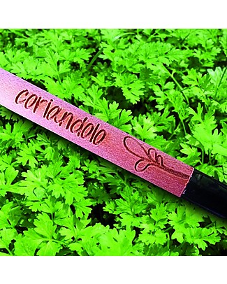Sprout Plantable Pencil 100% Sustainable - Coriander - Without box Gardening Toys