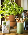 Sprout Plantable Pencil 100% Sustainable - Daisy Gardening Toys
