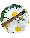Sprout Plantable Pencil 100% Sustainable - Daisy Gardening Toys