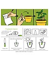 Sprout Plantable Pencil 100% Sustainable - Mint Draw And Color