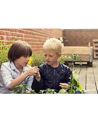 Sprout Plantable Pencil 100% Sustainable - Sage Gardening Toys