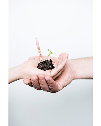 Sprout Plantable Pencil 100% Sustainable - Sunflower Gardening Toys