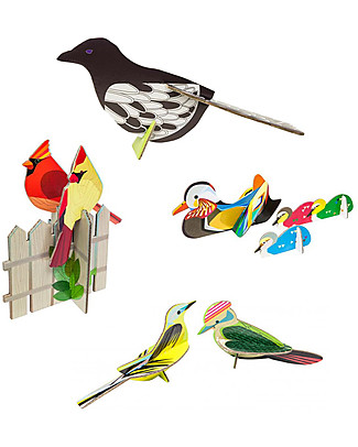 StudioRoof Popout Card Birds Theme - Mandarin Duck - Cardinals - Woodpecker - Magpie Paper & Cardboard