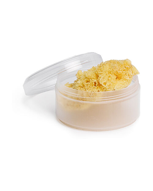 Suavinex Natural Mediterranean Sponge with Container - 100% Sustainable Baby Bath Wash and shampoo