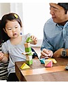 Tegu 24-Piece Set in Tints, Magnetic Wooden Blocks - Many Colours and Shapes Wooden Blocks and Construction Sets