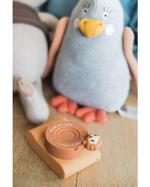 The Zoofamily Urban Zoo Camera - Lion - Full HD Cameras