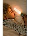 The Zoofamily Zoo Light 3-in-1 Portable Lamp - Dino - with Sleep, Walk, and Read Modes Nightlights