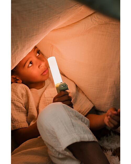 The Zoofamily Zoo Light 3-in-1 Portable Lamp - Dino - with Sleep, Walk, and Read Modes Nightlights