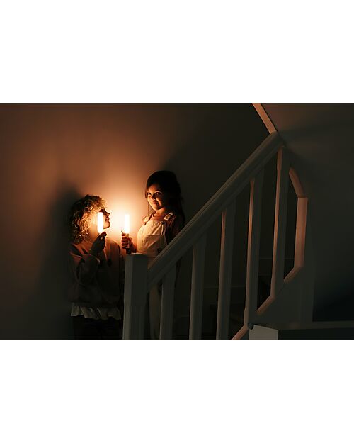 The Zoofamily Zoo Light 3-in-1 Portable Lamp - Koala - with Sleep, Walk, and Read Modes Nightlights