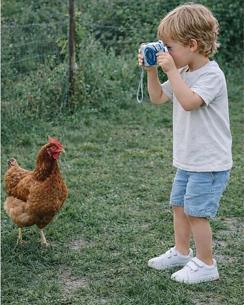 The Zoofamily Zoo Print Camera - Procione - Instantly Prints Photos! Cameras