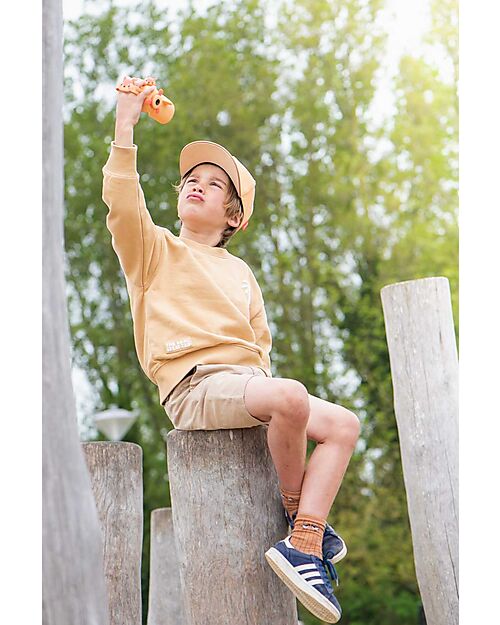 The Zoofamily Zoo Video Camera - Fox Cameras