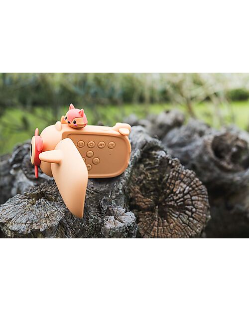 The Zoofamily Zoo Video Camera - Fox Cameras