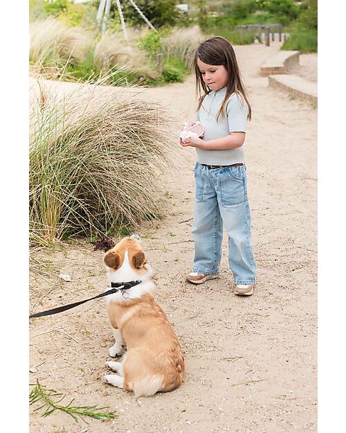 The Zoofamily Zoo Video Camera - Unicorn Cameras