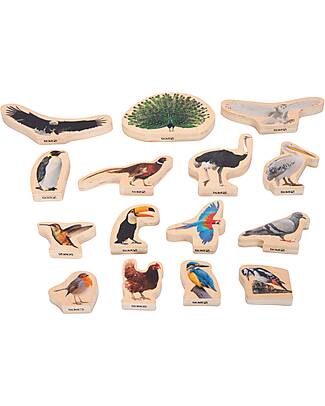 tickit FSC Birch Wood Blocks - Birds - 15 Pieces - 0+ Wooden Animals
