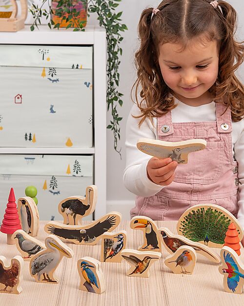 tickit FSC Birch Wood Blocks - Birds - 15 Pieces - 0+ Wooden Animals