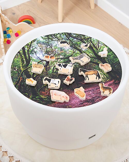 tickit FSC Birch Wood Blocks - Domestic Animals - 15 Pieces - 0+ Wooden Animals