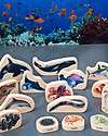 tickit FSC Poplar FSC Blocks - Sea Life - 15 Pieces - 0+ Wooden Animals