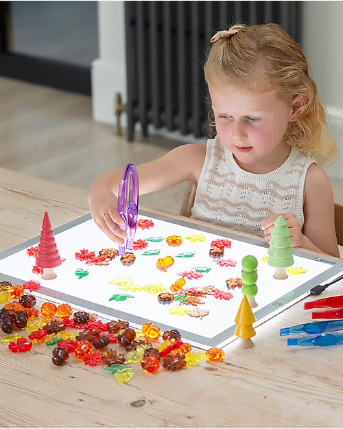 tickit Translucent Leaves and Seeds - Red/Yellow/Orange/Brown/Green - from 3 Years - For Light Panel Sensory Games_