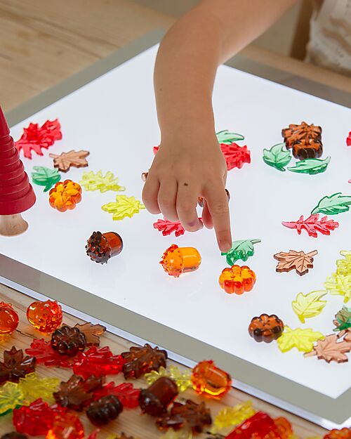tickit Translucent Leaves and Seeds - Red/Yellow/Orange/Brown/Green - from 3 Years - For Light Panel Sensory Games_
