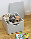 Tidy Books Sorting Box, Toys Wooden Box, Pale Grey - 40 x 30 x 24 cm Toy Storage Boxes