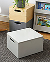 Tidy Books Sorting Box, Toys Wooden Box, Pale Grey - 40 x 30 x 24 cm Toy Storage Boxes