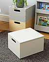 Tidy Books Sorting Box, Toys Wooden Box, Soft White - 40 x 30 x 24 cm Toy Storage Boxes