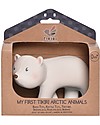 Tikiri 3-in-1 Polar Bear Rattle - Teether - Bath Toy - My First Arctic - Gift Box - 100% Natural Rubber Bath Toys