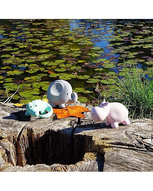 Tikiri 3-in-1 Rattle, Teether, Bath Toy - Crocodile - My First Zoo - Gift Box - 100% Natural Rubber Bath Toys