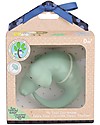 Tikiri 3-in-1 Rattle, Teether, Bath Toy - Crocodile - My First Zoo - Gift Box - 100% Natural Rubber Bath Toys