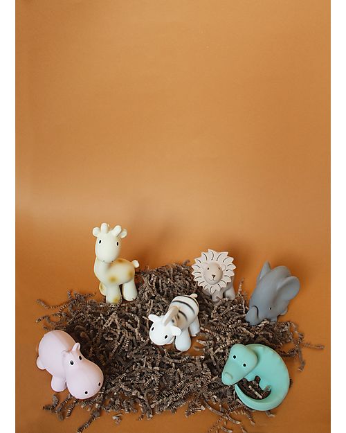 Tikiri 3-in-1 Rattle, Teether, Bath Toy - Giraffe, My First Zoo - Gift Box - 100% Natural Rubber Bath Toys
