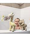 Tikiri 3-in-1 Rattle, Teether, Bath Toy - Lion - My First Zoo - Gift Box - 100% Natural Rubber Bath Toys