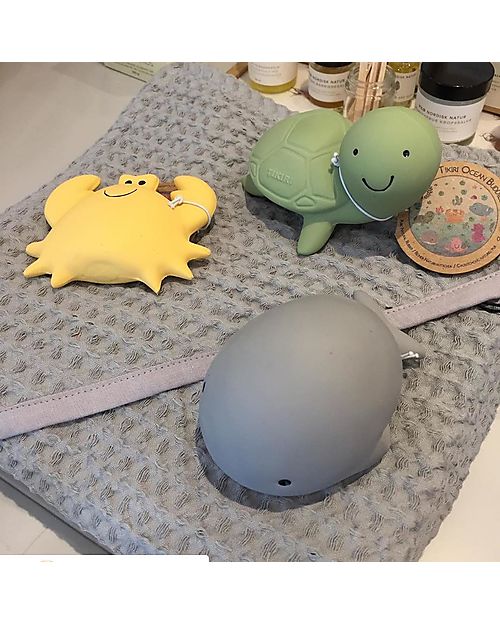 Tikiri 3-in-1 Rattle, Teether, Bath Toy - Turtle, Ocean Buddies, Gift Box - 100% Natural Rubber Bath Toys