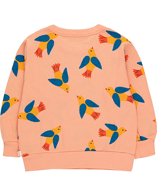 Tiny Cottons Birds Sweatshirt - Papaya - Pima Cotton Sweatshirts