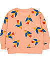 Tiny Cottons Birds Sweatshirt - Papaya - Pima Cotton Sweatshirts