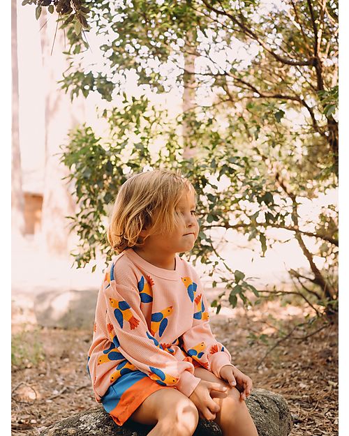 Tiny Cottons Birds Sweatshirt - Papaya - Pima Cotton Sweatshirts