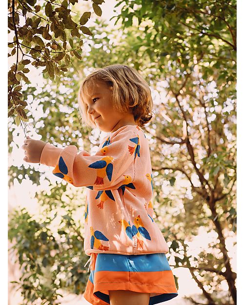 Tiny Cottons Birds Sweatshirt - Papaya - Pima Cotton Sweatshirts