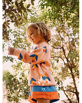 Tiny Cottons Birds Sweatshirt - Papaya - Pima Cotton Sweatshirts