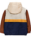 Tiny Cottons Color Block Pullover - Cappuccino/Navy - Light Padding Jackets