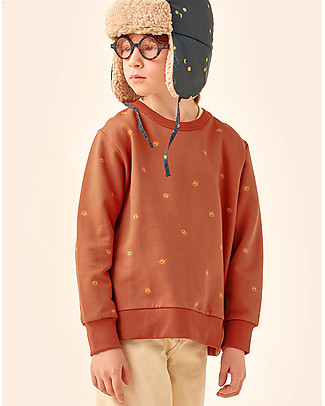 Tiny Cottons Long-Sleeved Sweatshirt - Squirrels -Dark Copper/True Brown - Pima Cotton Sweatshirts
