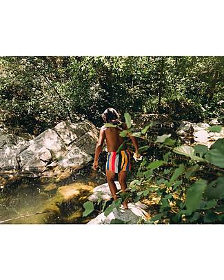 Tiny Cottons Multicolor Stripes Long Short - Multicolor - 100% Cotton Shorts